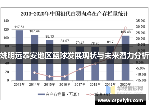 姚明远泰安地区篮球发展现状与未来潜力分析
