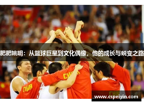 肥肥姚明：从篮球巨星到文化偶像，他的成长与蜕变之路
